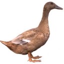 สมาชิกหมายเลข 904717