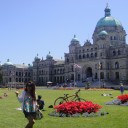 สมาชิกหมายเลข 1303788