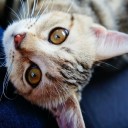 สมาชิกหมายเลข 1720960