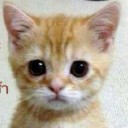 สมาชิกหมายเลข 933203