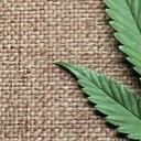 สมาชิกหมายเลข 3388892