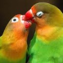 สมาชิกหมายเลข 903064