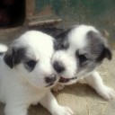 สมาชิกหมายเลข 905279