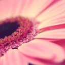 พอเพียง พอใจ