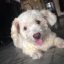 สมาชิกหมายเลข 1318382