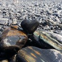 สมาชิกหมายเลข 1935589