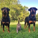 สมาชิกหมายเลข 2126583