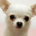 สมาชิกหมายเลข 719025