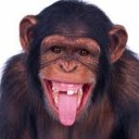 สมาชิกหมายเลข 817895