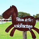 มะม่วงเปรี้ยวมาก