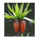 สมาชิกหมายเลข 1150102