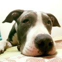 สมาชิกหมายเลข 2542590