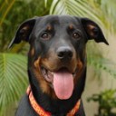 สมาชิกหมายเลข 905773