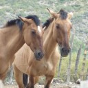 สมาชิกหมายเลข 1304948