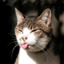 สมาชิกหมายเลข 2542920