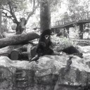 สมาชิกหมายเลข 1149982