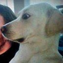 สมาชิกหมายเลข 1271841