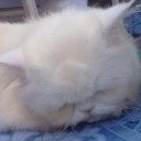 สมาชิกหมายเลข 2147955