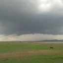 สมาชิกหมายเลข 1192317