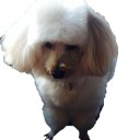 สมาชิกหมายเลข 2452626