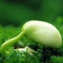 สมาชิกหมายเลข 743547