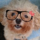 สมาชิกหมายเลข 873066