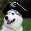 สมาชิกหมายเลข 1305575