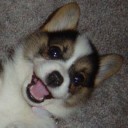 สมาชิกหมายเลข 775334