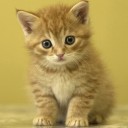 สมาชิกหมายเลข 829836