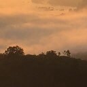 สมาชิกหมายเลข 1924157