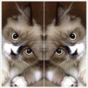 สมาชิกหมายเลข 894458