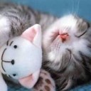 สมาชิกหมายเลข 906823