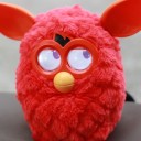 นักถ่ายภาพฝึกหัด