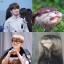 สมาชิกหมายเลข 987947