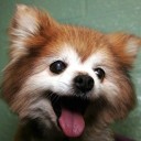 ทางเดินแห่งรัก