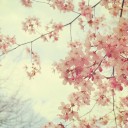 สมาชิกหมายเลข 907755