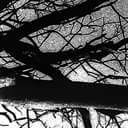 สมาชิกหมายเลข 2544448