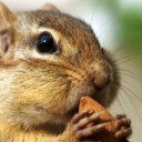 สมาชิกหมายเลข 2946845