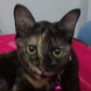 สมาชิกหมายเลข 723101