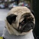 สมาชิกหมายเลข 908120