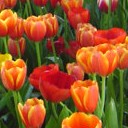 สมาชิกหมายเลข 1307360