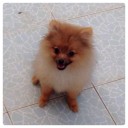 สมาชิกหมายเลข 1737486