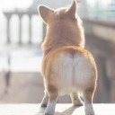 สมาชิกหมายเลข 1982806