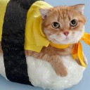 สมาชิกหมายเลข 2441419