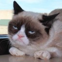 คัทปุ๊ปเด้งปั๊ป