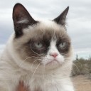 สมาชิกหมายเลข 908507