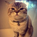 สมาชิกหมายเลข 1308299