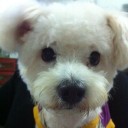 สมาชิกหมายเลข 1206548