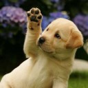 สมาชิกหมายเลข 1630421