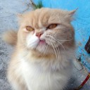 เมฆาฟ้าแว๊บๆ